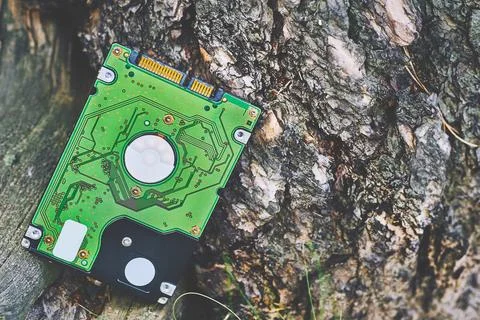 Internal hard drive for storing information on wood surface with bark Foto stock