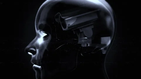 Internal Head Camera Stock Footage 263712162