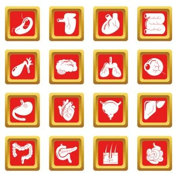 Internal human organs icons set red square vector Illustrazione stock