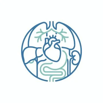 Internal human organs medical system diagram icon with internal, healthcare Stock Illustration