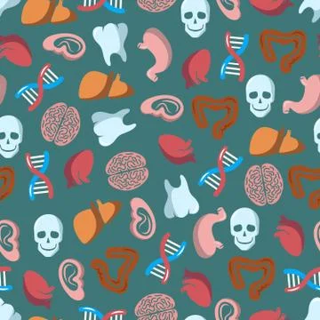 Internal human organs seamless pattern Stock Illustration
