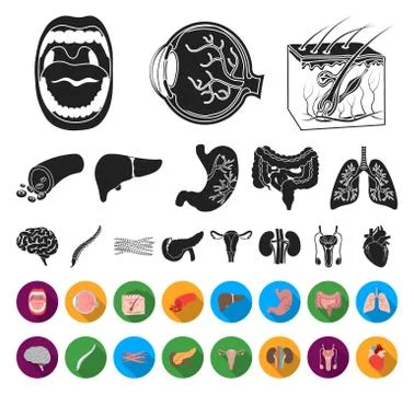 Internal organs of a human black,flat icons in set collection for design Stock Illustration