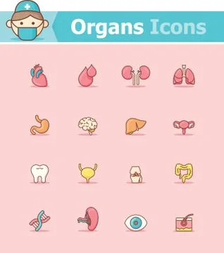 Internal organs icon set Stock Illustration