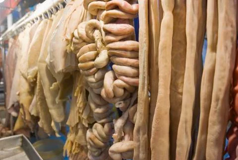 Internal organs 스톡 사진