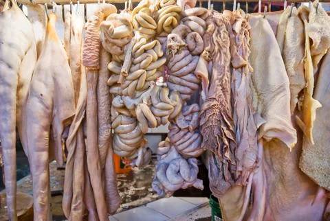 Internal organs Foto stock