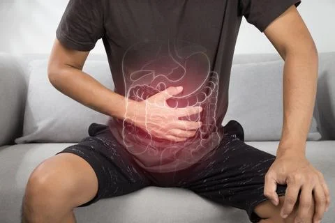 Internal organs Stock Photos