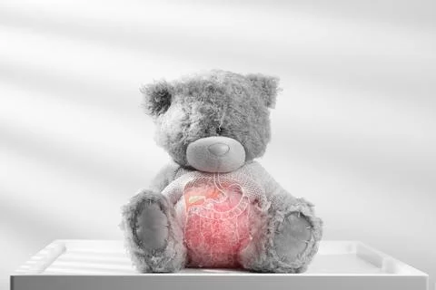 Internal organs is on the teddy bear. Stock Photos