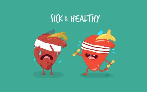 Internal organs. Vector illustrations. Stock Illustration