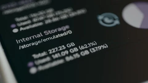 Internal storage capacity status of a device with a pie chart Stock Footage 329285498
