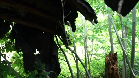 Internal View Of Destroyed Old House Stock Footage 90762660