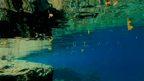 Internal view of a small lake Badak Stock Footage 171852297