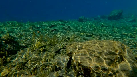 Internal view of a small lake Badak Stock Footage 171852319