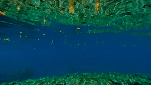 Internal view of a small lake Badak Stock Footage 171852351