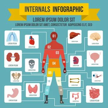 Internals infographic elements, flat style Illustrazione stock
