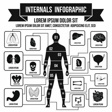 Internals infographic elements, simple style Stock Illustration