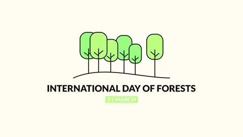 International Day of Forests Vídeo Stock 335638206