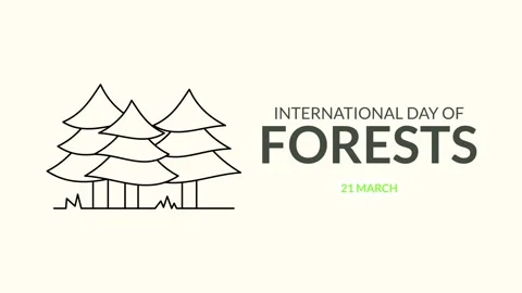 International Day of Forests Vídeo Stock 335638366