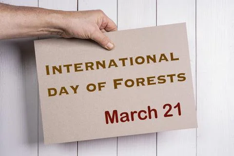 International Day of Forests Foto stock