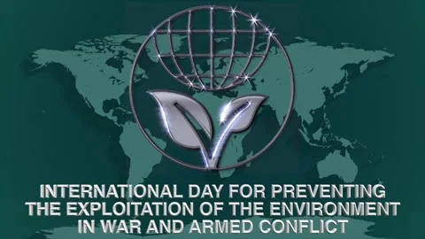 International day for preventing the exploitation Stock Footage 330851201