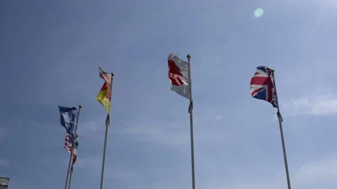 International flags blowing in the wind against blue sky Stock Footage 89508510