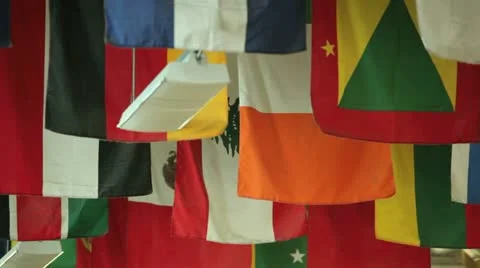 International flags Video stock 13508454