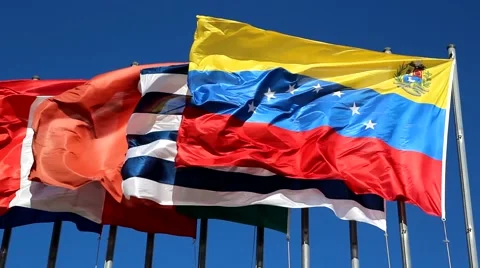 International Flags Stock Footage 42909047