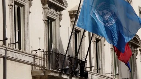 International flags Stock Footage 100895957