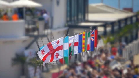 International Flags At Sporting Event Stock Footage 98881041