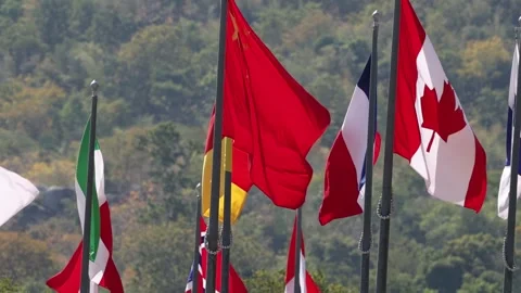 International Flags Waving in Breeze 스톡 동영상 308682034