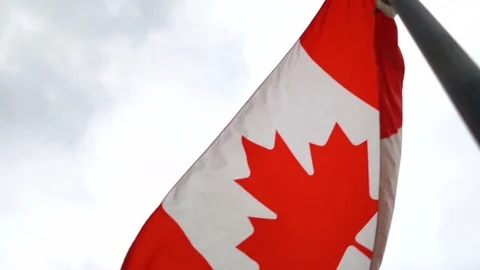 International Flags Waving Stock Footage 90004746