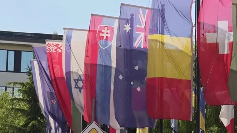 International flags waving in the wind Vidéo 310310278