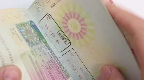 International passport closeup Vídeo Stock 54736344