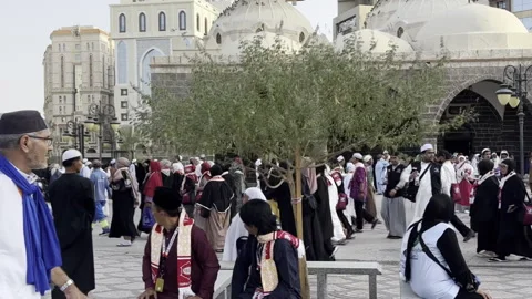 International Pilgrims Gathering in Busy Mosque Al-Ghamama Vídeo Stock 320320853