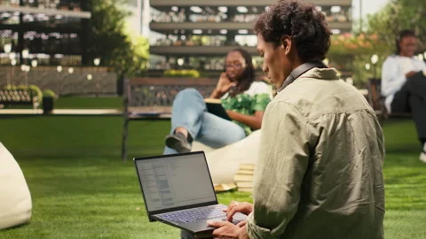 International student using laptop with coding content on campus bench Stock Footage 340961598
