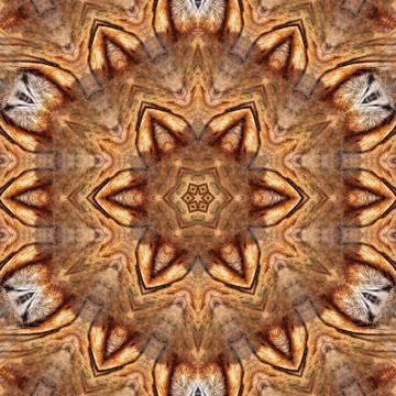 International tiger day concept design with skin pattern 스톡 일러스트