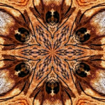 International tiger day concept design with skin pattern 스톡 일러스트