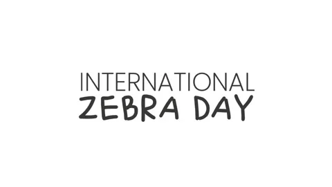 International Zebra Day Stock Footage 326804496