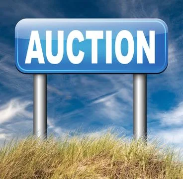 Internet auction Illustrazione stock
