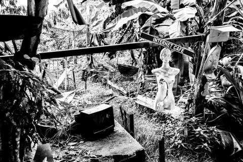 Internet cafe in the jungle, black and white Stock Photos