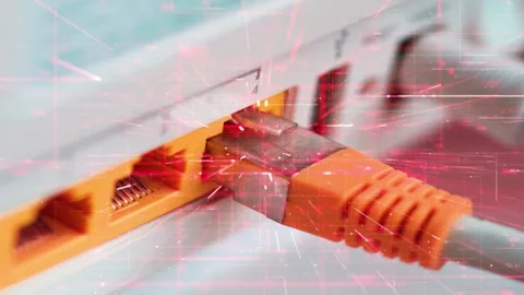 Internet connection and close-up of a router Vídeo Stock 295582049