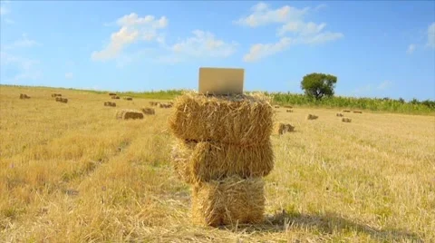 Internet everywhere Stock Footage 8781842