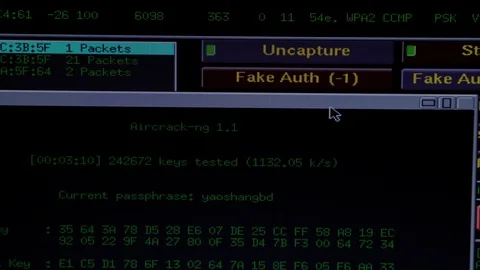 Internet hacking attack brute force in progress. Admin access. Password attack Stockbeeldmateriaal 126100005