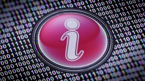 Internet icon. Binary code ( array of bits ) in the screen. Looping footage 動画素材 110713809