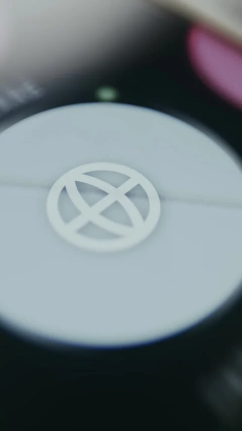 Internet icon with white globe inside a circular design Видео 334928011