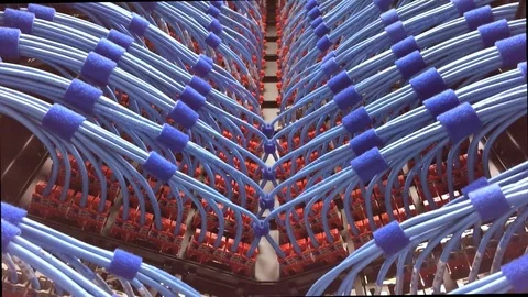 Internet Network Cables Stock Footage 79474230