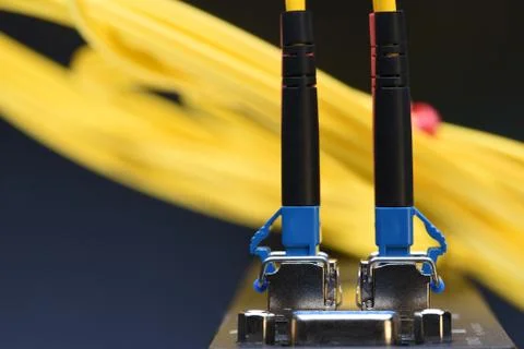 Internet network technology, fiber optic cable connected to switch Stock-Fotos
