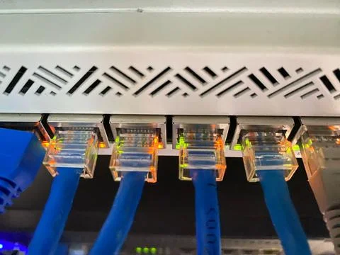 Internet or UTP network cable connected to the patch panel or router Photos