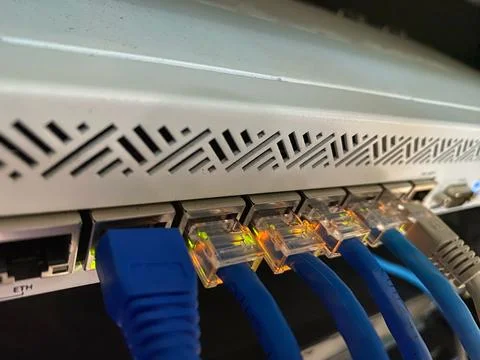 Internet or UTP network cable connected to the patch panel or router Photos
