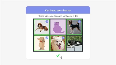 Internet page showing human or robot test recognizing images of dog or cat Stock Footage 288632647