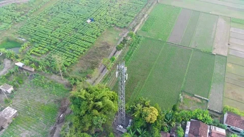 Internet Provider Tower Stock Footage 246732528